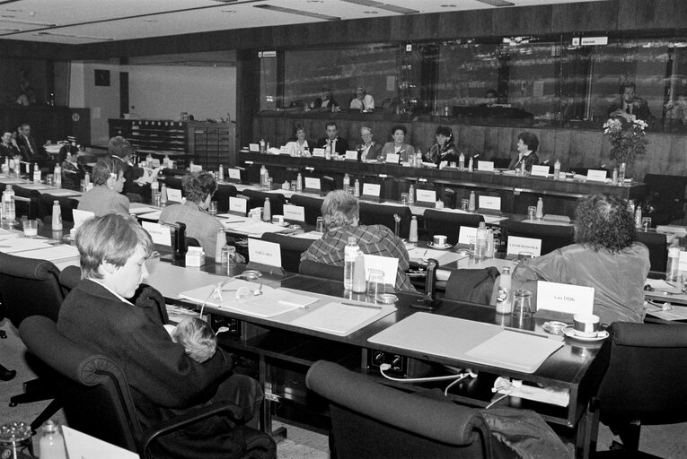 Fotografie 3: Meeting at the European Parliament