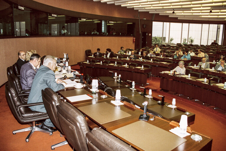 Fotografija 8: Meeting at the EP in Strasbourg