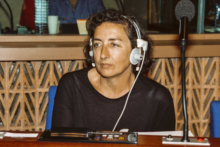 Valokuva 7: MEP Maria BELO during the plenary session at the EP in Strasbourg