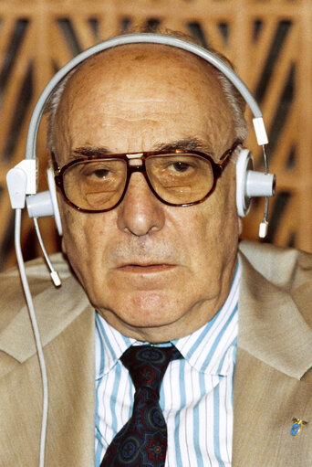 MEP Pietro MITOLOduring the plenary session at the EP in Strasbourg