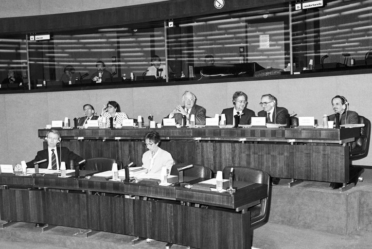 Meeting at the European Parliament