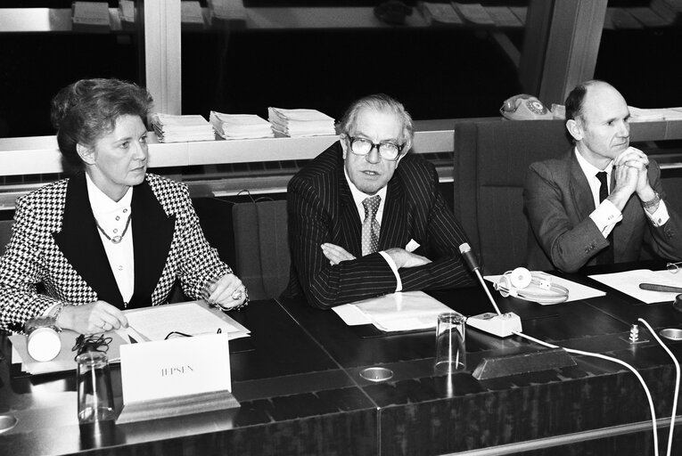 Fotagrafa 4: Meeting of the European Democratic Group at the European Parliament in Strasbourg