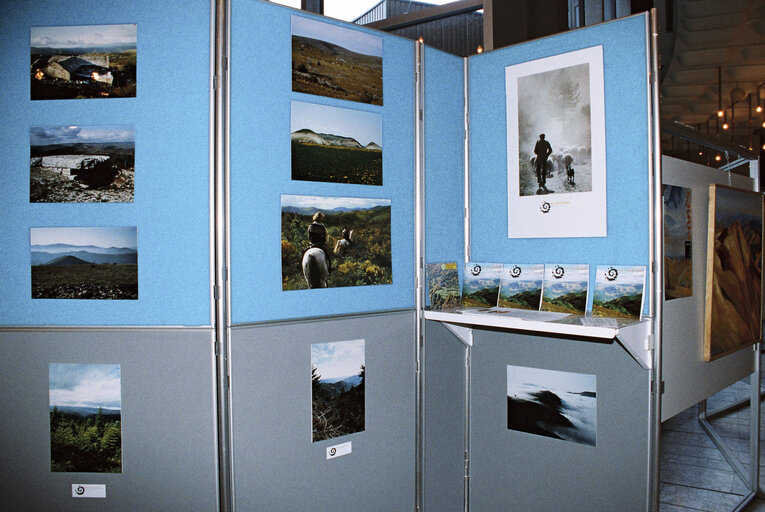 Foto 5: Exhibition on the Cevennes park