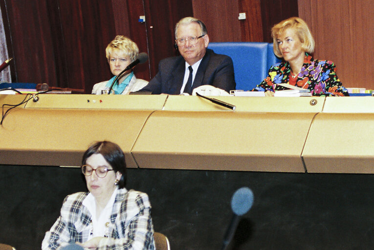 MEP (Hans) Johannes Wilhelm PETERS in the hemicycle