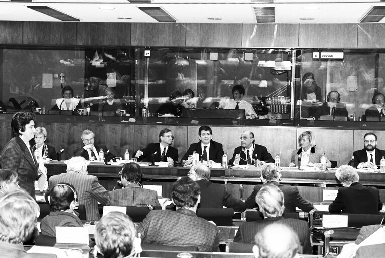 Billede 3: Enrique BARON CRESPO, Enrico VINCI in a meeting with the EP President at the European parliament.