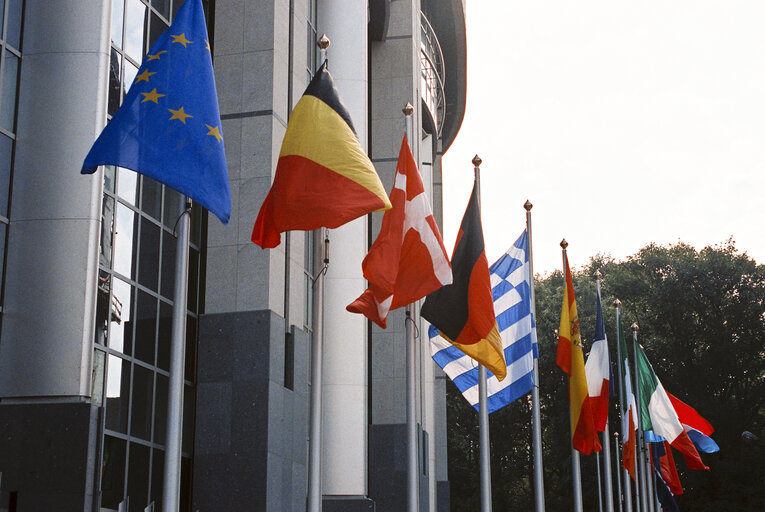 Flags in front of the PHS Building