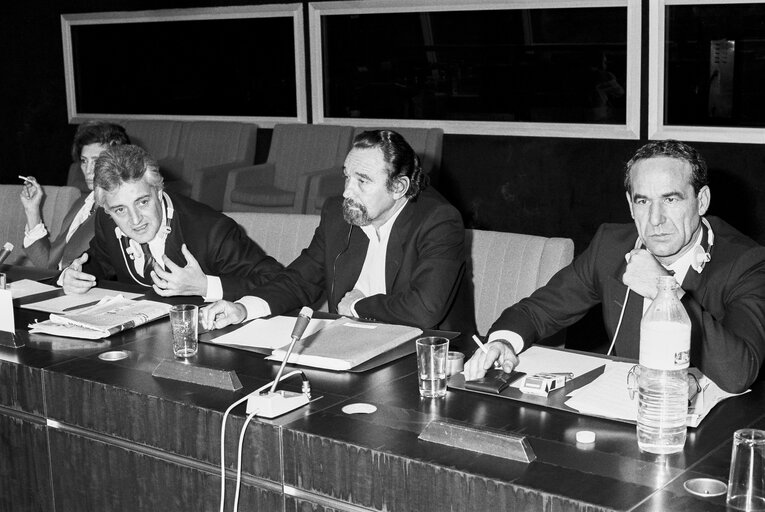 Meeting at the European Parliament in Strasbourg in October 1989.