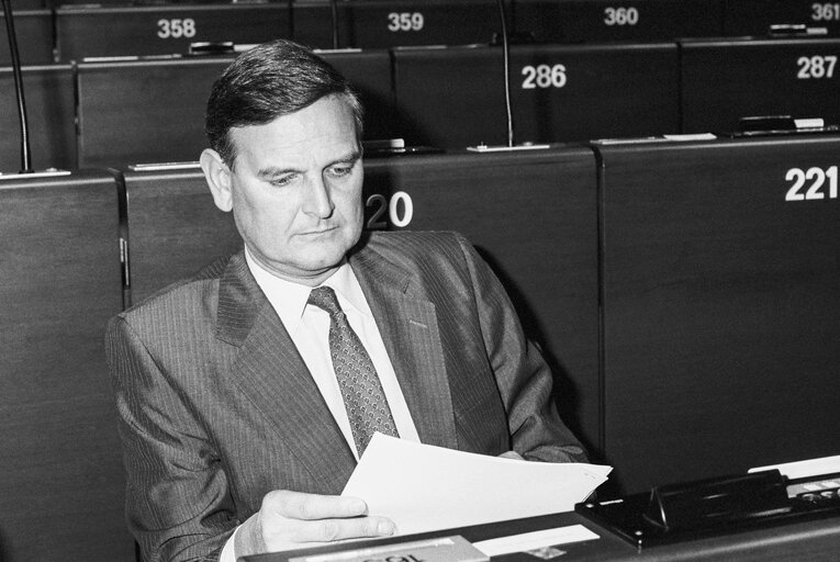 Mep Fran?ßois-Xavier G.M.J.C.H. de DONNEA in the hemicycle