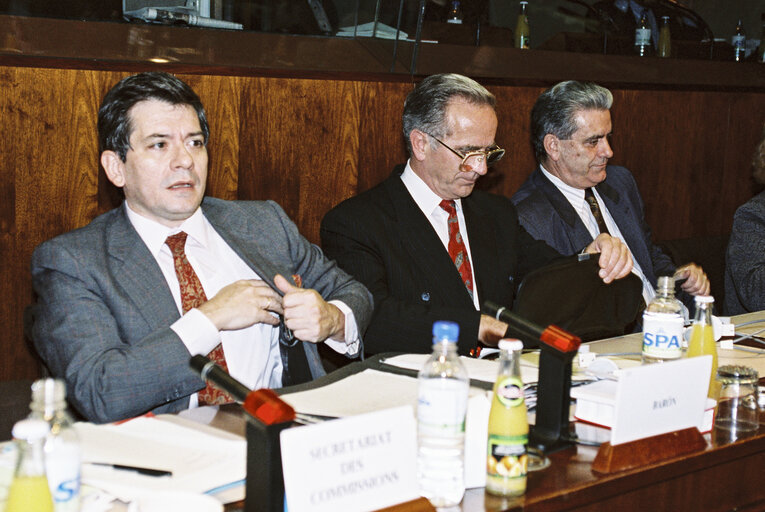 Fotografie 2: Meeting at the EP in Strasbourg with the President of the European Parliament Enrique BARON CRESPO and Zivota PANIC, minister of defense of Yugolasvia