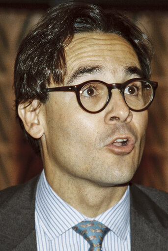 Photo 41: MEP Carlos PERREAU DE PINNINCK DOMENECH during the plenary session at the EP in Strasbourg