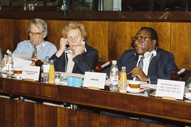 ACP-EU Joint Parliamentary meeting at the E.P. in Brussels