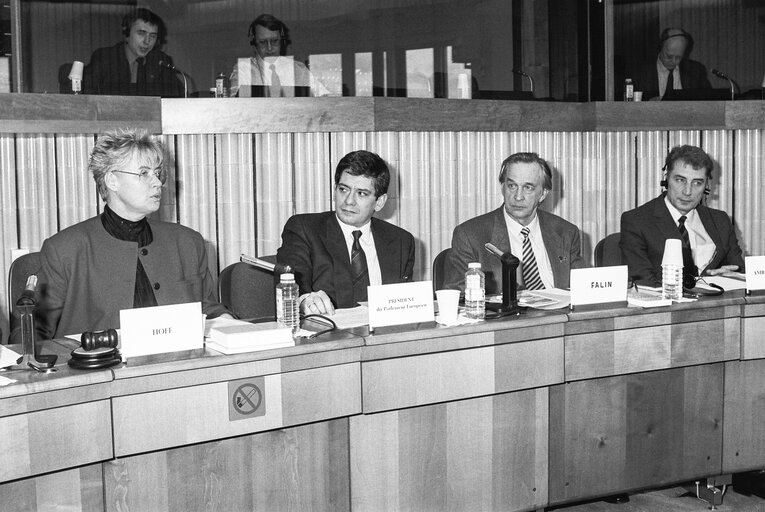 Fotografija 12: Meeting with Russian Delegation at the European Parliament in Strasbourg