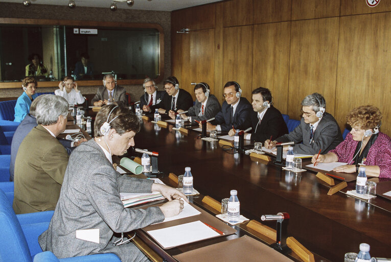 Fotografia 3: Exchange of views at the European Parliament in Strasbourg