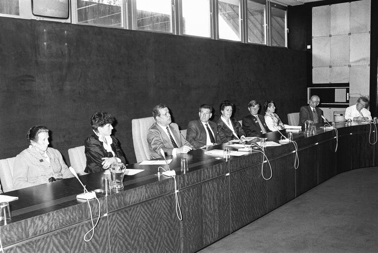 Meeting at the European Parliament in Strasbourg