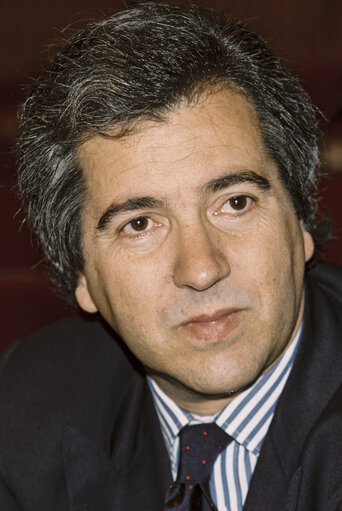 Φωτογραφία 41: MEP Jose MENDES BOTA  during the plenary session at the EP in Strasbourg