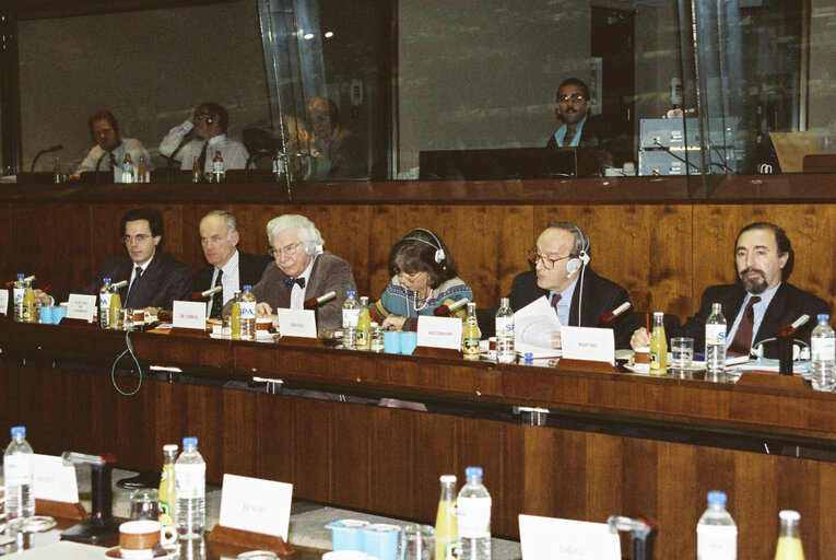 Foto 2: Delegation for relations with the countries of South America