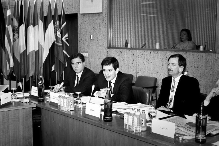 Fotografia 3: Meeting of the Delegation for relations with the United States in Luxembourg.