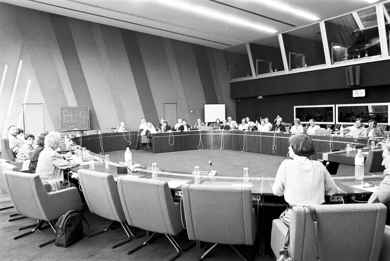 Foto 6: Meeting at the European Parliament in Strasbourg