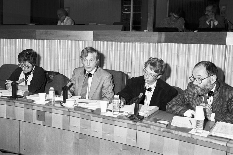 Meeting at the European Parliament