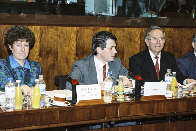 Fotografie 3: Meeting at the EP in Strasbourg with the President of the European Parliament Enrique BARON CRESPO and Zivota PANIC, minister of defense of Yugolasvia