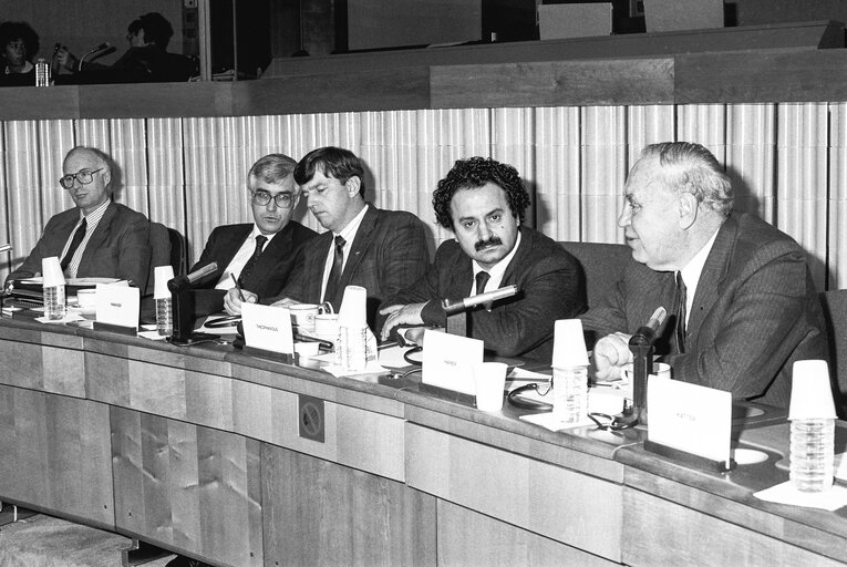 Foto 23: Meeting with Australian Delegation at the European Parliament in Strasbourg in October 1989.