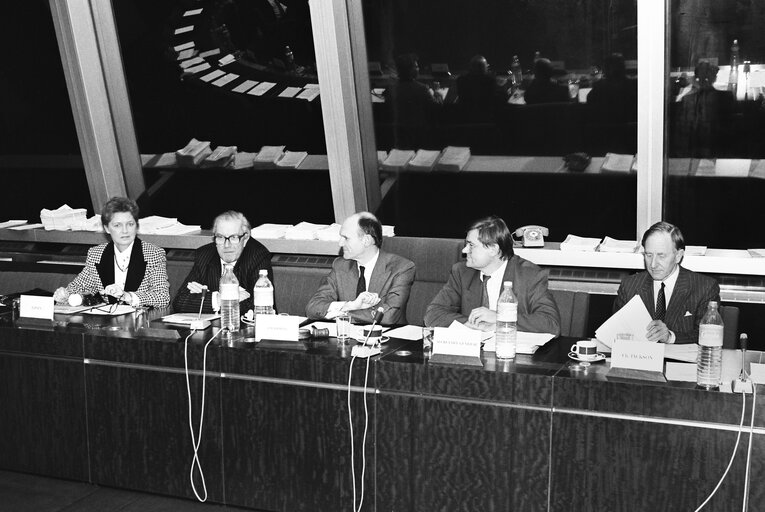 Photo 5: Meeting of the European Democratic Group at the European Parliament in Strasbourg