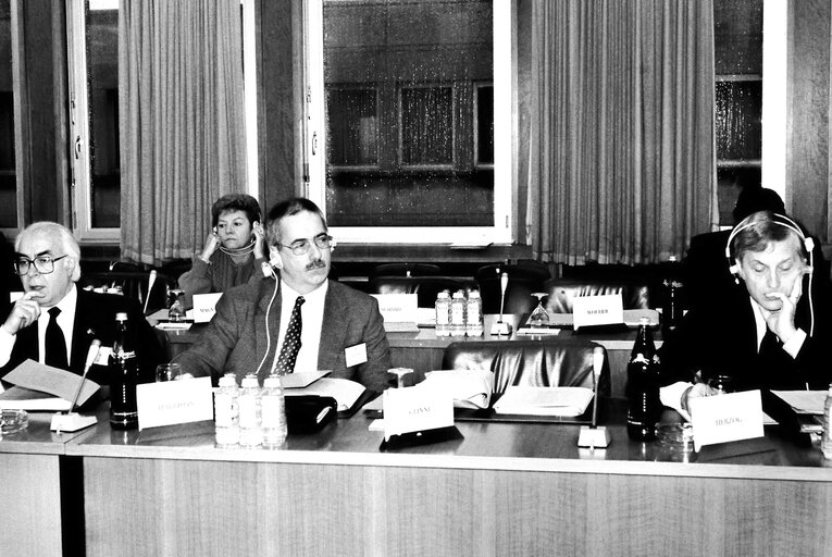 Fotografia 4: Meeting of the Delegation for relations with the United States in Luxembourg.