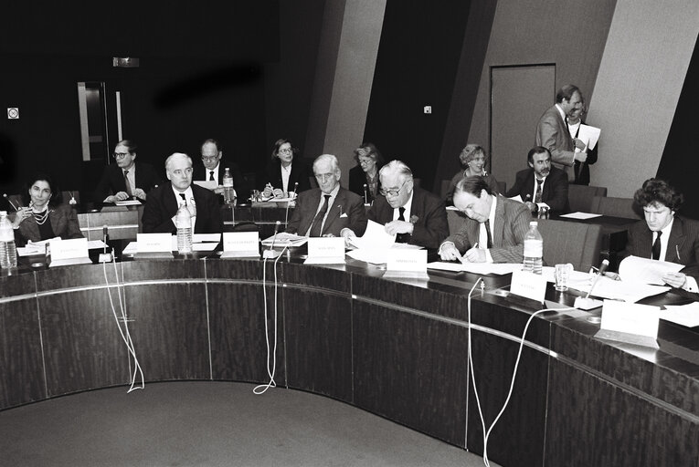 Снимка 6: Meeting of the European Democratic Group at the European Parliament in Strasbourg