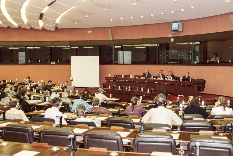 Meeting at the EP in Strasbourg