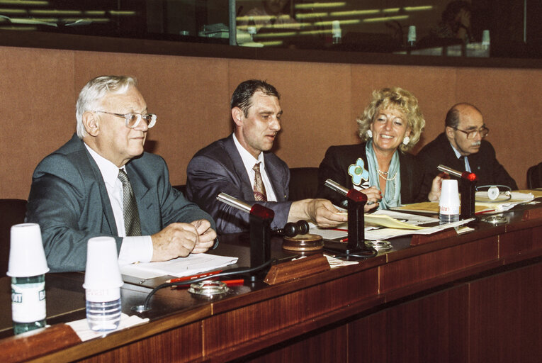 Fotografia 6: Meeting at the EP in Strasbourg