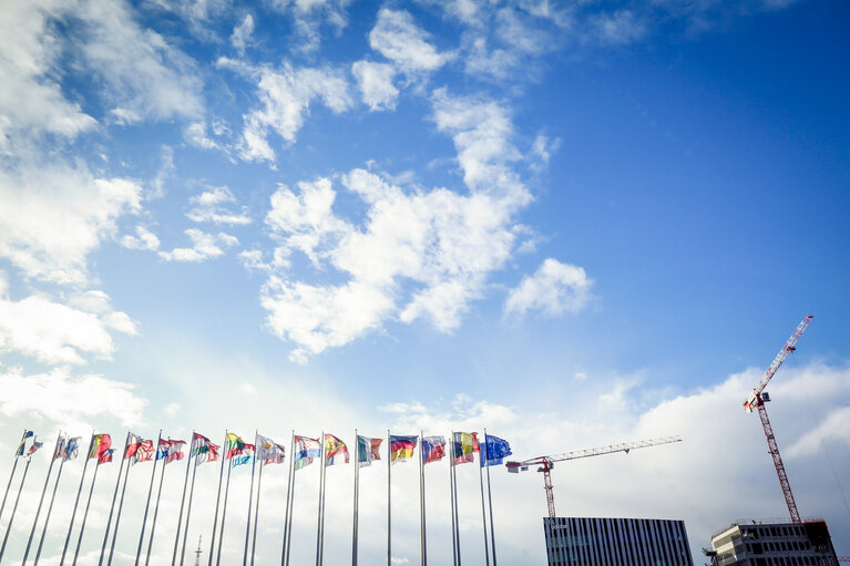 Photo 9: European flags in front of EP building in Strasbourg