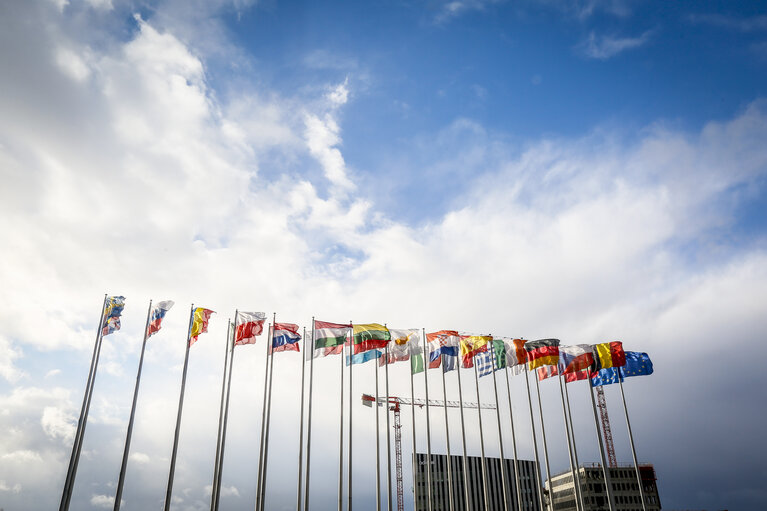Photo 6: European flags in front of EP building in Strasbourg - Adidas building and cranes