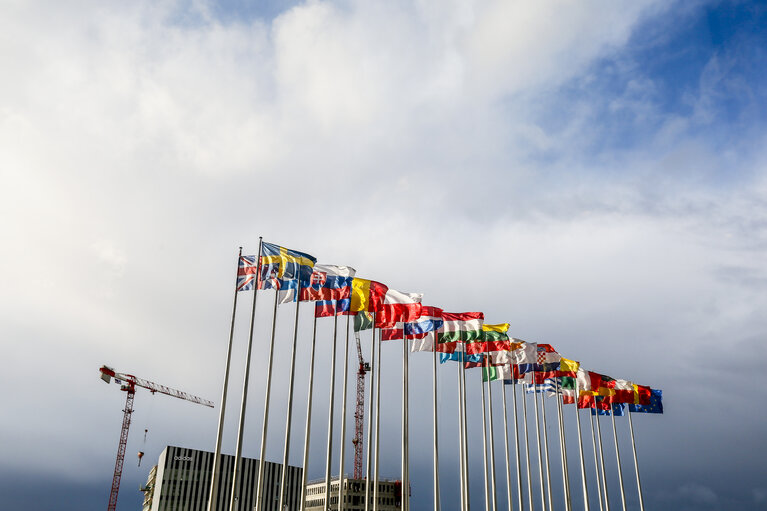 Photo 4: European flags in front of EP building in Strasbourg - Adidas building and cranes