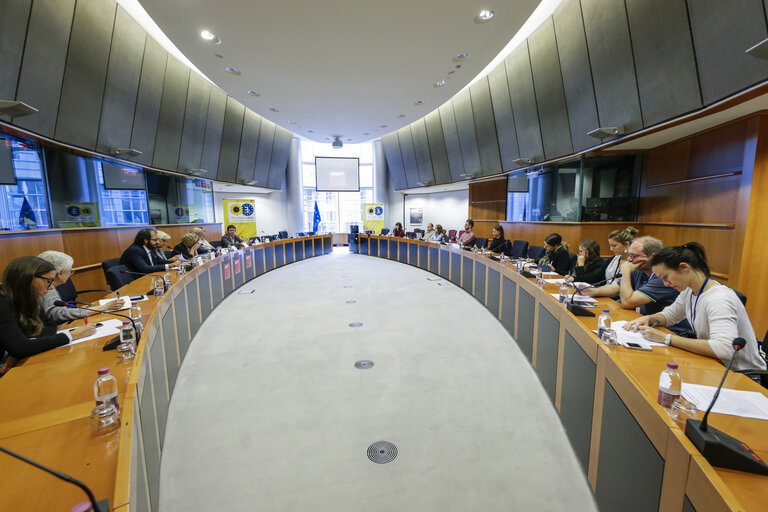 Photo 10 : Greens/EFA conference - Criminal defamation laws in the EU