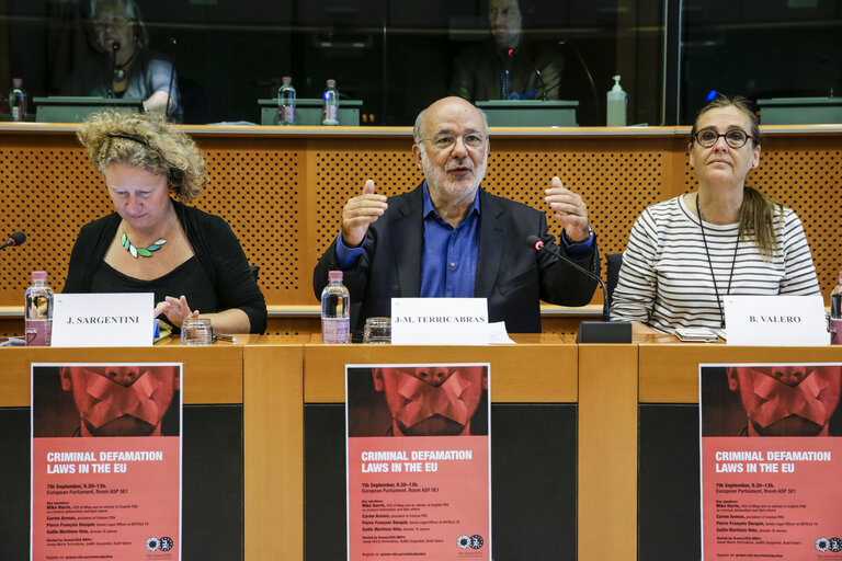 Photo 21 : Greens/EFA conference - Criminal defamation laws in the EU