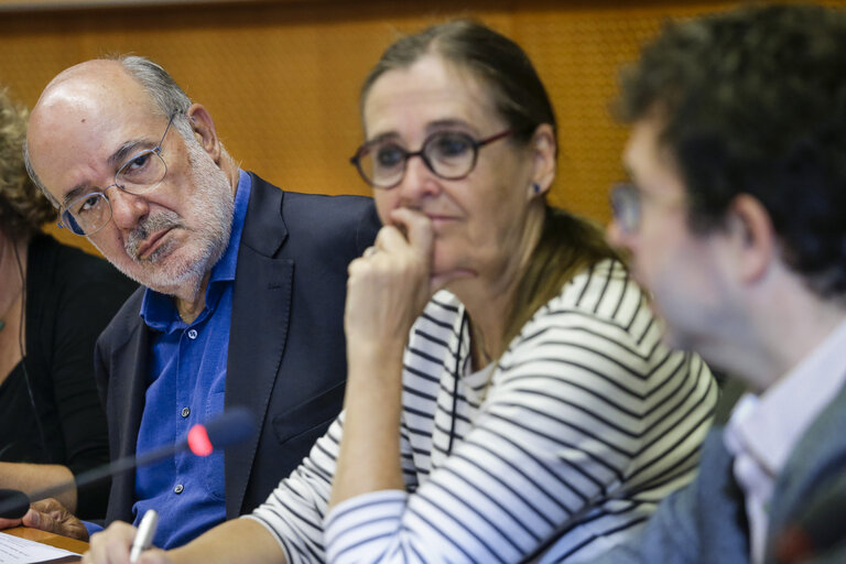 Photo 16 : Greens/EFA conference - Criminal defamation laws in the EU