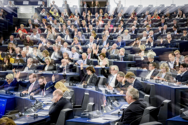 Foto 10: Plenary session week 40 2017 in Strasbourg - Preparation of the European Council meeting of 19 and 20 October 2017 - Council and Commission statements