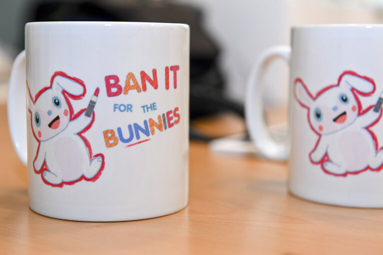 Cruelty Free International