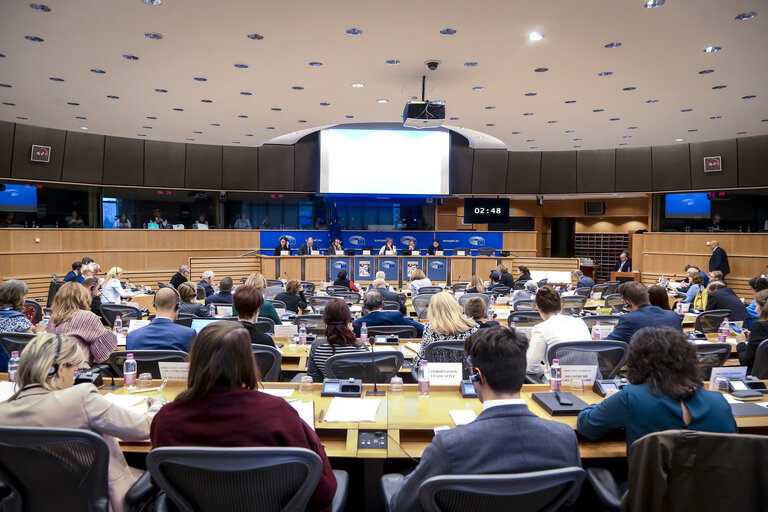 Fotografia 12: CULT-EMPL Joint public hearing - ' European Solidarity Corps