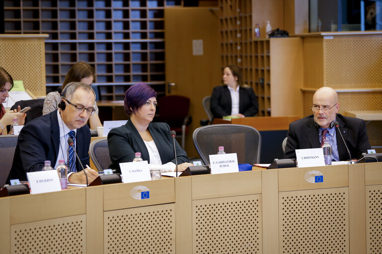 Photo 14 : BUDG Committee meeting ' Guarantee Fund for external actions '