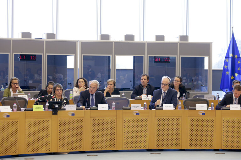 Photo 16 : BUDG Committee meeting ' Guarantee Fund for external actions '