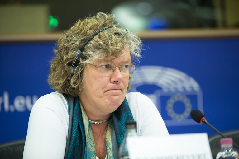 Fotografie 8: CULT-EMPL Joint public hearing - ' European Solidarity Corps '