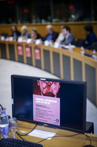 Photo 8 : Greens/EFA conference - Criminal defamation laws in the EU