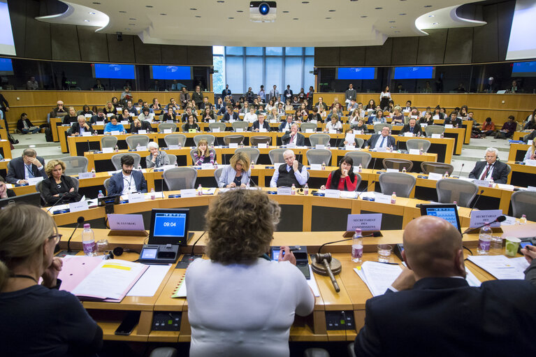 Fotografia 1: CULT-EMPL Joint public hearing - ' European Solidarity Corps