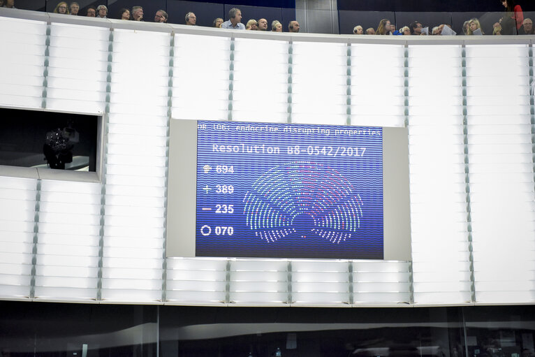 Photo 12 : Plenary session week 40 2017 in Strasbourg - Preparation of the European Council meeting of 19 and 20 October 2017 - Council and Commission statements