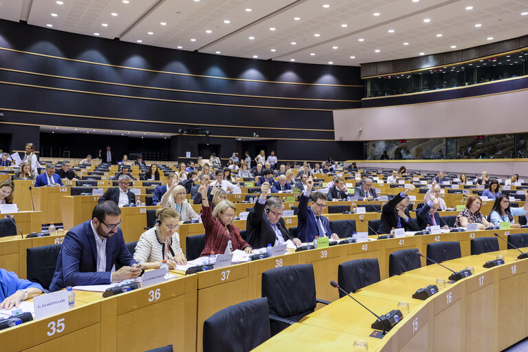 Fotografi 10: IMCO committee meeting. Vote on the Laying down rules on the making available on the market of CE marked fertilizing products