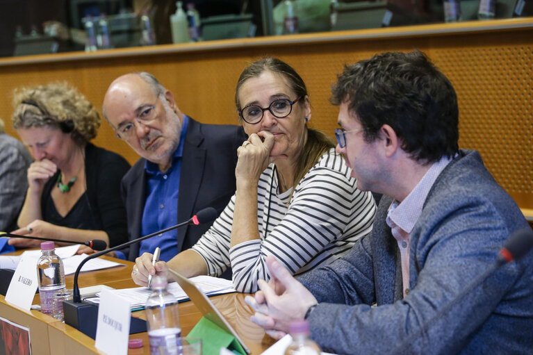 Photo 17 : Greens/EFA conference - Criminal defamation laws in the EU