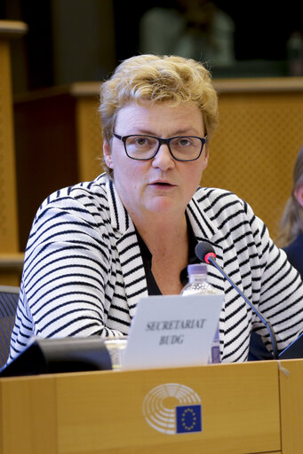 Photo 5 : BUDG Committee meeting ' Guarantee Fund for external actions '