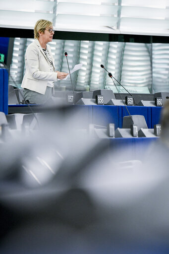 Plenary session Week 40 2017 in Strasbourg - explanations of votes