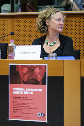Photo 14 : Greens/EFA conference - Criminal defamation laws in the EU